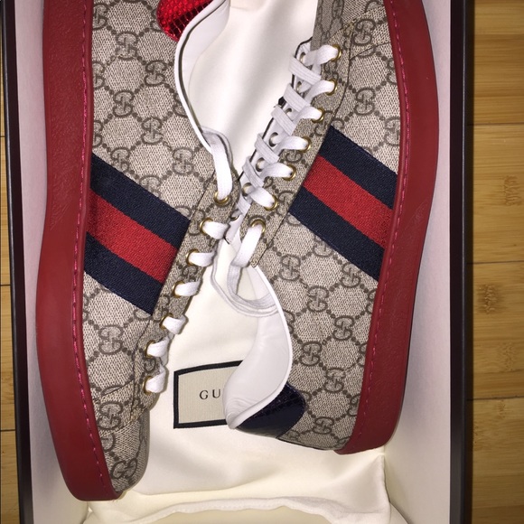 new ace gg supreme low top sneaker